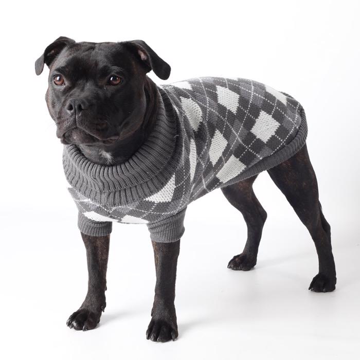 Hunde Strik dækken Design Lizz Grå Offwhite